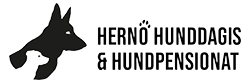Hernö Hunddagis & Hundpensionat